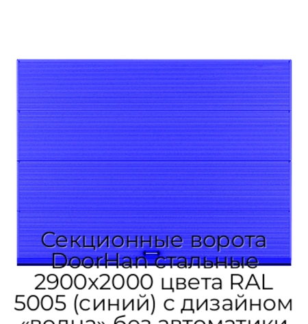 sekczionnyie-vorota-doorhan-stalnyie-2900x2000-czveta-ral-5005-sinij-s-dizajnom-«volna»-bez-avtomatiki