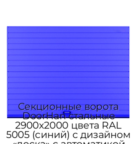sekczionnyie-vorota-doorhan-stalnyie-2900x2000-czveta-ral-5005-sinij-s-dizajnom-«doska»-s-avtomatikoj