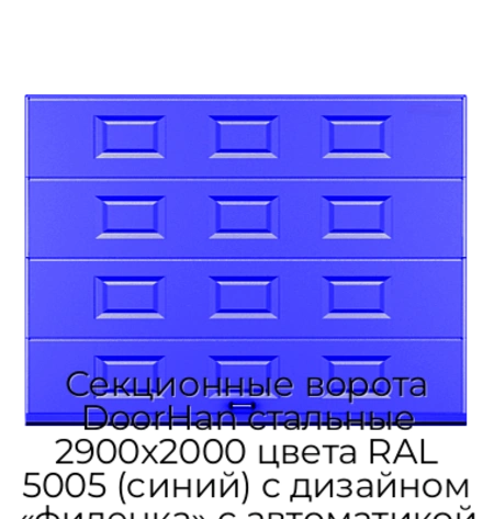 sekczionnyie-vorota-doorhan-stalnyie-2900x2000-czveta-ral-5005-sinij-s-dizajnom-«filenka»-s-avtomatikoj