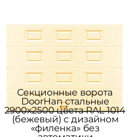 sekczionnyie-vorota-doorhan-stalnyie-2900x2500-czveta-ral-1014-bezhevyij-s-dizajnom-«filenka»-bez-avtomatiki