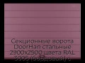 sekczionnyie-vorota-doorhan-stalnyie-2900x2500-czveta-ral-3005-bordovyij-s-dizajnom-«shirokaya-czentralnaya-polosa»-s-avtomatikoj