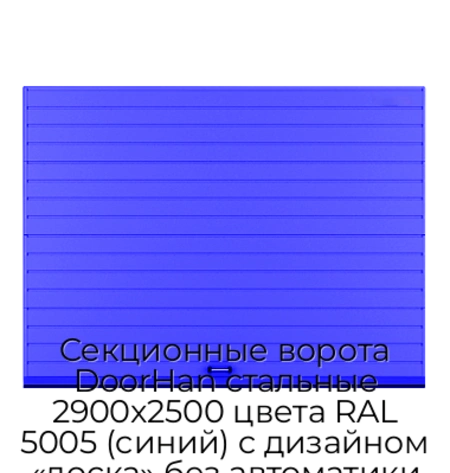 sekczionnyie-vorota-doorhan-stalnyie-2900x2500-czveta-ral-5005-sinij-s-dizajnom-«doska»-bez-avtomatiki
