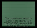 sekczionnyie-vorota-doorhan-stalnyie-2900x2500-czveta-ral-6005-zelyonyij-s-dizajnom-«shirokaya-czentralnaya-polosa»-bez-avtomatiki