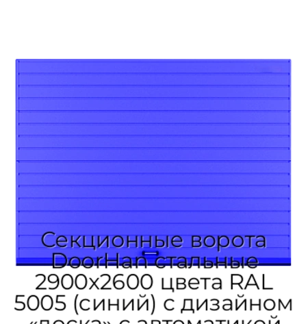 sekczionnyie-vorota-doorhan-stalnyie-2900x2600-czveta-ral-5005-sinij-s-dizajnom-«doska»-s-avtomatikoj
