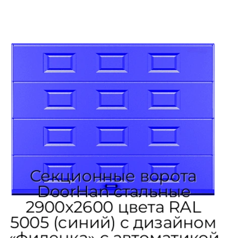 sekczionnyie-vorota-doorhan-stalnyie-2900x2600-czveta-ral-5005-sinij-s-dizajnom-«filenka»-s-avtomatikoj