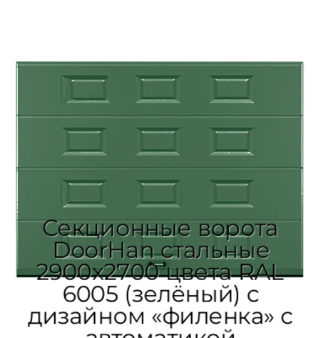 sekczionnyie-vorota-doorhan-stalnyie-2900x2700-czveta-ral-6005-zelyonyij-s-dizajnom-«filenka»-s-avtomatikoj