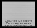 sekczionnyie-vorota-doorhan-stalnyie-2900x2700-czveta-ral-9006-serebristyij-s-dizajnom-«volna»-s-avtomatikoj