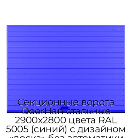 sekczionnyie-vorota-doorhan-stalnyie-2900x2800-czveta-ral-5005-sinij-s-dizajnom-«doska»-bez-avtomatiki