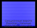 sekczionnyie-vorota-doorhan-stalnyie-2900x2800-czveta-ral-5005-sinij-s-dizajnom-«shirokaya-czentralnaya-polosa»-s-avtomatikoj