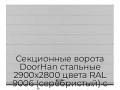 sekczionnyie-vorota-doorhan-stalnyie-2900x2800-czveta-ral-9006-serebristyij-s-dizajnom-«shirokaya-czentralnaya-polosa»-bez-avtomatiki