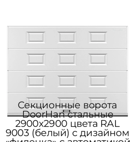 sekczionnyie-vorota-doorhan-stalnyie-2900x2900-czveta-ral-9003-belyij-s-dizajnom-«filenka»-s-avtomatikoj