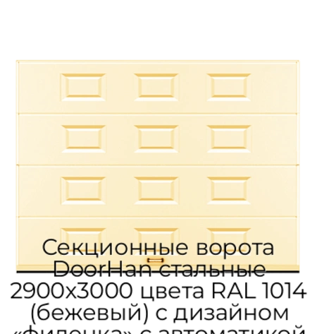 sekczionnyie-vorota-doorhan-stalnyie-2900x3000-czveta-ral-1014-bezhevyij-s-dizajnom-«filenka»-s-avtomatikoj