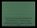 sekczionnyie-vorota-doorhan-stalnyie-2900x3000-czveta-ral-6005-zelyonyij-s-dizajnom-«shirokaya-czentralnaya-polosa»-bez-avtomatiki
