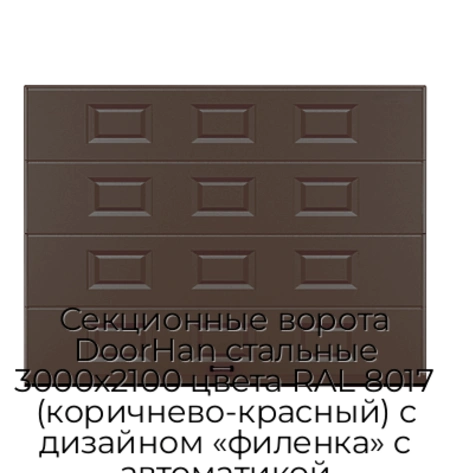 sekczionnyie-vorota-doorhan-stalnyie-3000x2100-czveta-ral-8017-korichnevo-krasnyij-s-dizajnom-«filenka»-s-avtomatikoj
