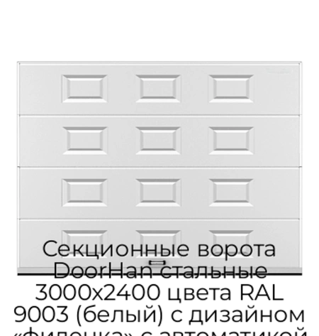 sekczionnyie-vorota-doorhan-stalnyie-3000x2400-czveta-ral-9003-belyij-s-dizajnom-«filenka»-s-avtomatikoj