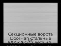 sekczionnyie-vorota-doorhan-stalnyie-3000x2600-czveta-ral-9006-serebristyij-s-dizajnom-«volna»-s-avtomatikoj