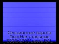 sekczionnyie-vorota-doorhan-stalnyie-3000x2700-czveta-ral-5005-sinij-s-dizajnom-«shirokaya-czentralnaya-polosa»-s-avtomatikoj