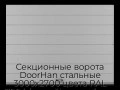 sekczionnyie-vorota-doorhan-stalnyie-3000x2700-czveta-ral-7004-seryij-s-dizajnom-«shirokaya-czentralnaya-polosa»-bez-avtomatiki