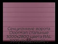sekczionnyie-vorota-doorhan-stalnyie-3000x2800-czveta-ral-3005-bordovyij-s-dizajnom-«shirokaya-czentralnaya-polosa»-s-avtomatikoj