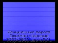 sekczionnyie-vorota-doorhan-stalnyie-3000x2900-czveta-ral-5005-sinij-s-dizajnom-«shirokaya-czentralnaya-polosa»-bez-avtomatiki