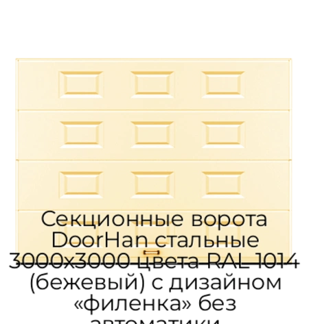 sekczionnyie-vorota-doorhan-stalnyie-3000x3000-czveta-ral-1014-bezhevyij-s-dizajnom-«filenka»-bez-avtomatiki