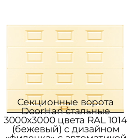 sekczionnyie-vorota-doorhan-stalnyie-3000x3000-czveta-ral-1014-bezhevyij-s-dizajnom-«filenka»-s-avtomatikoj