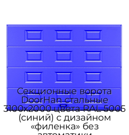 sekczionnyie-vorota-doorhan-stalnyie-3100x2000-czveta-ral-5005-sinij-s-dizajnom-«filenka»-bez-avtomatiki