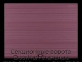 sekczionnyie-vorota-doorhan-stalnyie-3100x2100-czveta-ral-3005-bordovyij-s-dizajnom-«volna»-bez-avtomatiki