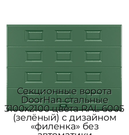 sekczionnyie-vorota-doorhan-stalnyie-3100x2100-czveta-ral-6005-zelyonyij-s-dizajnom-«filenka»-bez-avtomatiki