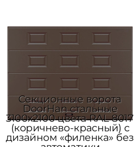 sekczionnyie-vorota-doorhan-stalnyie-3100x2100-czveta-ral-8017-korichnevo-krasnyij-s-dizajnom-«filenka»-bez-avtomatiki