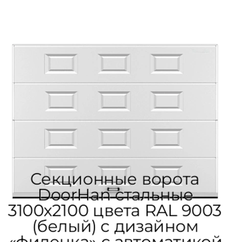 sekczionnyie-vorota-doorhan-stalnyie-3100x2100-czveta-ral-9003-belyij-s-dizajnom-«filenka»-s-avtomatikoj