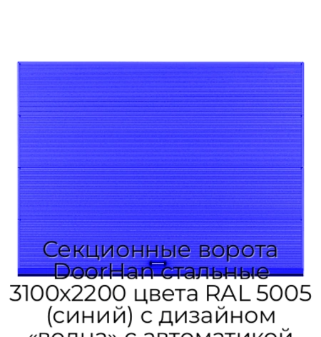 sekczionnyie-vorota-doorhan-stalnyie-3100x2200-czveta-ral-5005-sinij-s-dizajnom-«volna»-s-avtomatikoj