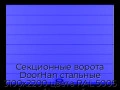 sekczionnyie-vorota-doorhan-stalnyie-3100x2200-czveta-ral-5005-sinij-s-dizajnom-«shirokaya-czentralnaya-polosa»-bez-avtomatiki