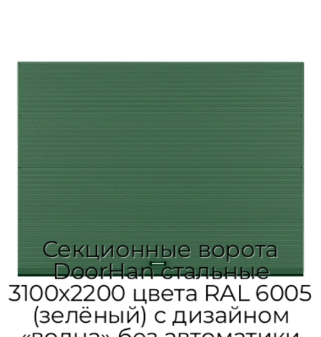 sekczionnyie-vorota-doorhan-stalnyie-3100x2200-czveta-ral-6005-zelyonyij-s-dizajnom-«volna»-bez-avtomatiki