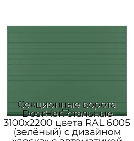 sekczionnyie-vorota-doorhan-stalnyie-3100x2200-czveta-ral-6005-zelyonyij-s-dizajnom-«doska»-s-avtomatikoj
