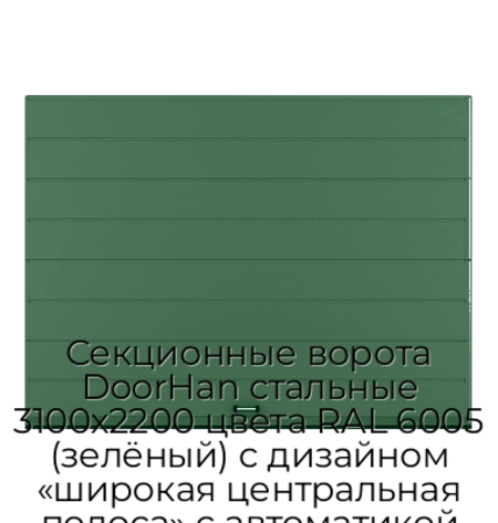 sekczionnyie-vorota-doorhan-stalnyie-3100x2200-czveta-ral-6005-zelyonyij-s-dizajnom-«shirokaya-czentralnaya-polosa»-s-avtomatikoj