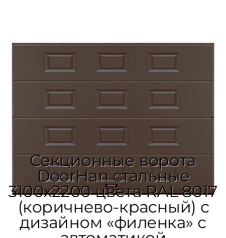 sekczionnyie-vorota-doorhan-stalnyie-3100x2200-czveta-ral-8017-korichnevo-krasnyij-s-dizajnom-«filenka»-s-avtomatikoj
