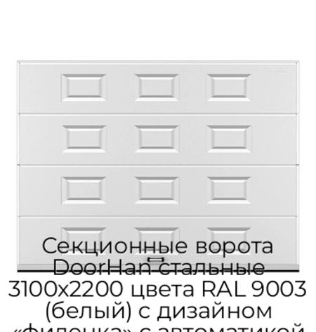 sekczionnyie-vorota-doorhan-stalnyie-3100x2200-czveta-ral-9003-belyij-s-dizajnom-«filenka»-s-avtomatikoj