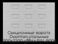 sekczionnyie-vorota-doorhan-stalnyie-3100x2200-czveta-ral-9006-serebristyij-s-dizajnom-«filenka»-bez-avtomatiki