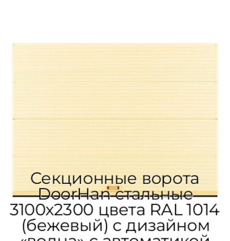 sekczionnyie-vorota-doorhan-stalnyie-3100x2300-czveta-ral-1014-bezhevyij-s-dizajnom-«volna»-s-avtomatikoj