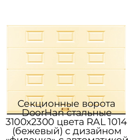 sekczionnyie-vorota-doorhan-stalnyie-3100x2300-czveta-ral-1014-bezhevyij-s-dizajnom-«filenka»-s-avtomatikoj
