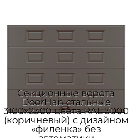 sekczionnyie-vorota-doorhan-stalnyie-3100x2300-czveta-ral-3000-korichnevyij-s-dizajnom-«filenka»-bez-avtomatiki
