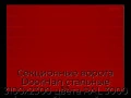 sekczionnyie-vorota-doorhan-stalnyie-3100x2300-czveta-ral-3000-krasnyij-s-dizajnom-«shirokaya-czentralnaya-polosa»-s-avtomatikoj