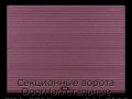 sekczionnyie-vorota-doorhan-stalnyie-3100x2300-czveta-ral-3005-bordovyij-s-dizajnom-«volna»-bez-avtomatiki