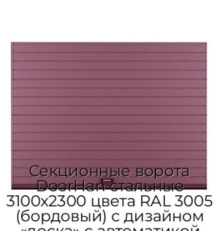 sekczionnyie-vorota-doorhan-stalnyie-3100x2300-czveta-ral-3005-bordovyij-s-dizajnom-«doska»-s-avtomatikoj