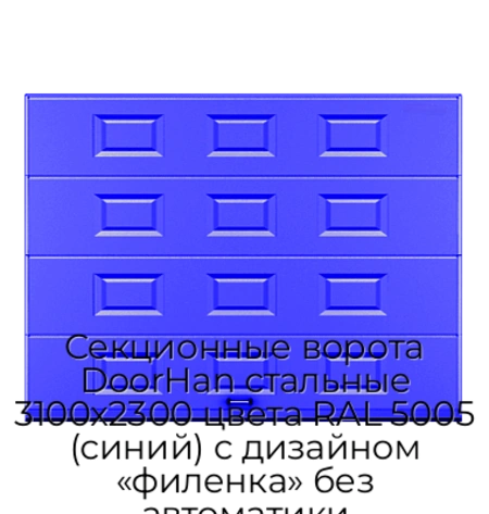sekczionnyie-vorota-doorhan-stalnyie-3100x2300-czveta-ral-5005-sinij-s-dizajnom-«filenka»-bez-avtomatiki