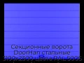 sekczionnyie-vorota-doorhan-stalnyie-3100x2300-czveta-ral-5005-sinij-s-dizajnom-«shirokaya-czentralnaya-polosa»-s-avtomatikoj