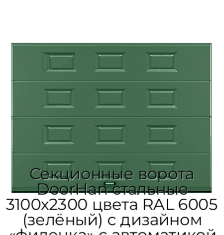 sekczionnyie-vorota-doorhan-stalnyie-3100x2300-czveta-ral-6005-zelyonyij-s-dizajnom-«filenka»-s-avtomatikoj
