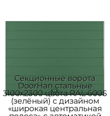 sekczionnyie-vorota-doorhan-stalnyie-3100x2300-czveta-ral-6005-zelyonyij-s-dizajnom-«shirokaya-czentralnaya-polosa»-s-avtomatikoj