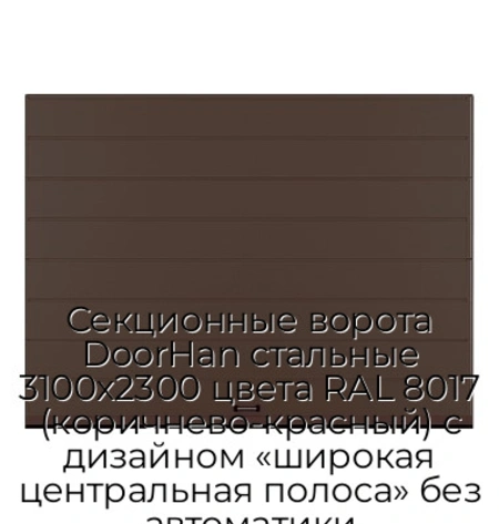 sekczionnyie-vorota-doorhan-stalnyie-3100x2300-czveta-ral-8017-korichnevo-krasnyij-s-dizajnom-«shirokaya-czentralnaya-polosa»-bez-avtomatiki